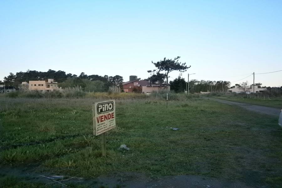 Costa Del Este, Buenos Aires, Argentina, ,Lotes-Terrenos,Venta,LOS PINOS,40827