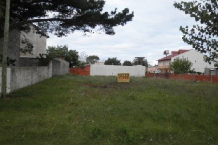 Las Toninas, Buenos Aires, Argentina, ,Lotes-Terrenos,Venta,17,40829