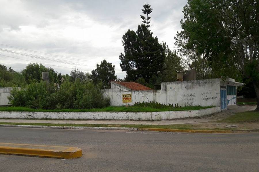 Santa Teresita, Buenos Aires, Argentina, ,Lotes-Terrenos,Venta,41,40832