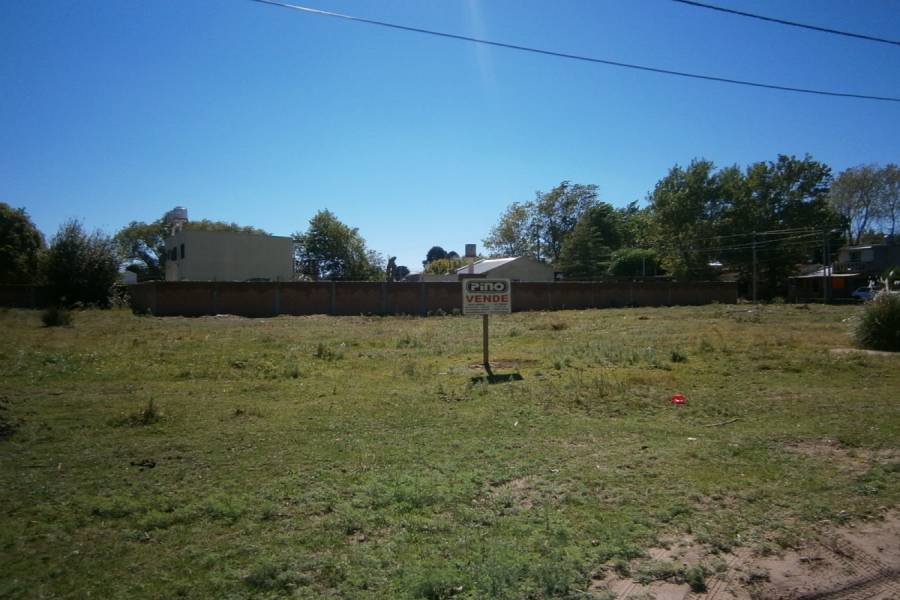 Santa Teresita, Buenos Aires, Argentina, ,Lotes-Terrenos,Venta,49,40852