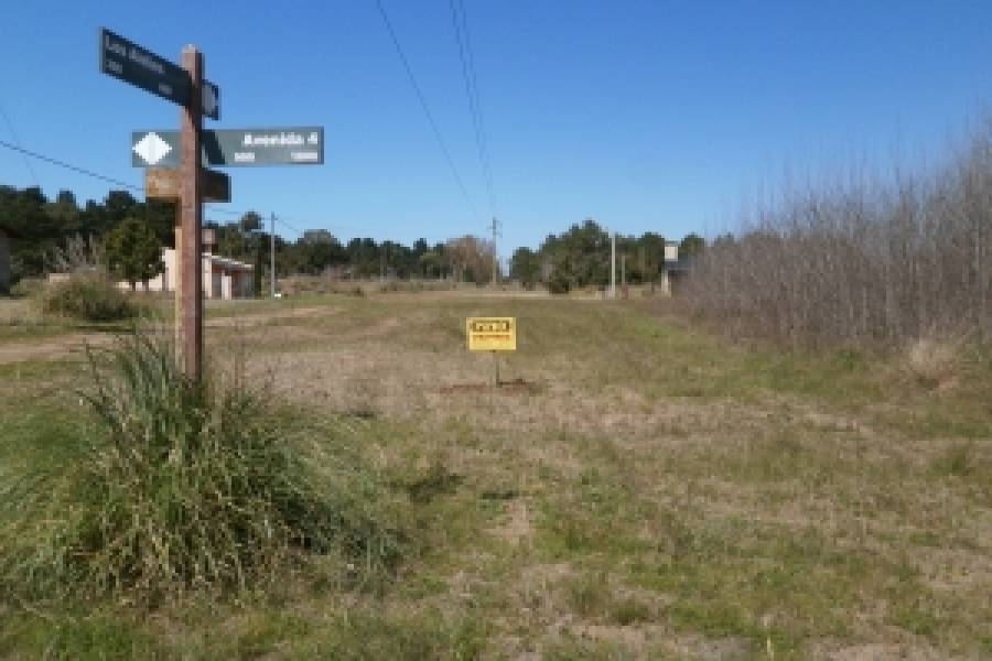Costa Del Este, Buenos Aires, Argentina, ,Lotes-Terrenos,Venta,AVENIDA 4,40868