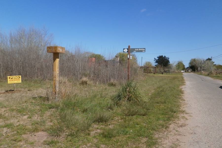 Costa Del Este, Buenos Aires, Argentina, ,Lotes-Terrenos,Venta,AVENIDA 4,40868