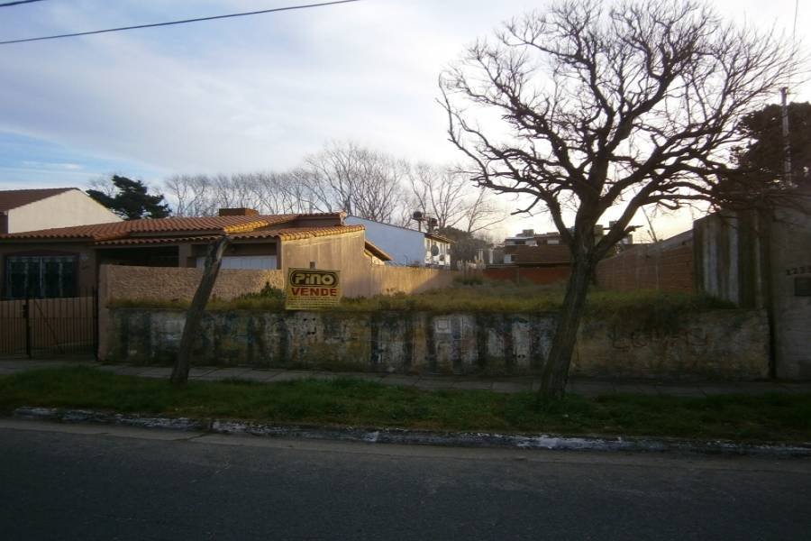 Santa Teresita, Buenos Aires, Argentina, ,Lotes-Terrenos,Venta,2,40876