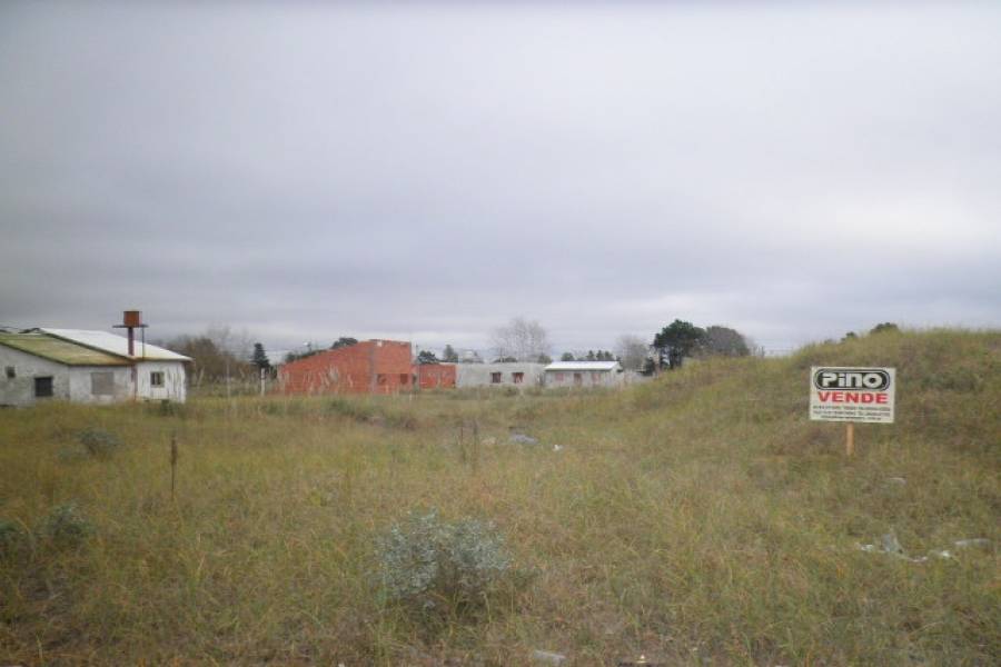 Las Toninas, Buenos Aires, Argentina, ,Lotes-Terrenos,Venta,11,40880