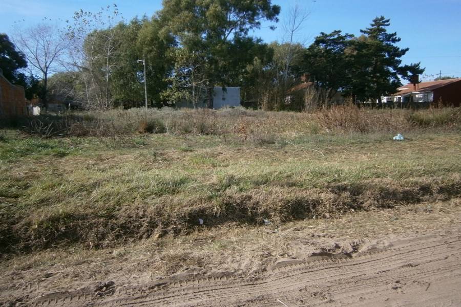 Santa Teresita, Buenos Aires, Argentina, ,Lotes-Terrenos,Venta,9,40888