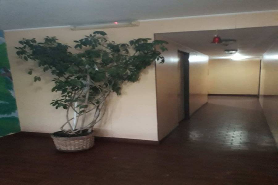 Santa Teresita, Buenos Aires, Argentina, 1 Dormitorio Bedrooms, ,1 BañoBathrooms,Apartamentos,Alquiler-Arriendo,39,3,40900