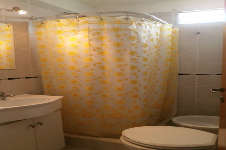 Santa Teresita, Buenos Aires, Argentina, 2 Bedrooms Bedrooms, ,1 BañoBathrooms,Apartamentos,Temporario,33 ,41034