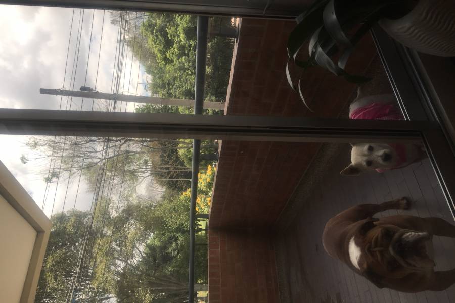 Bogotá D.C, Cundinamarca, Colombia, 3 Bedrooms Bedrooms, ,3 BathroomsBathrooms,Apartamentos,Venta,CARRERA 23,2,41048