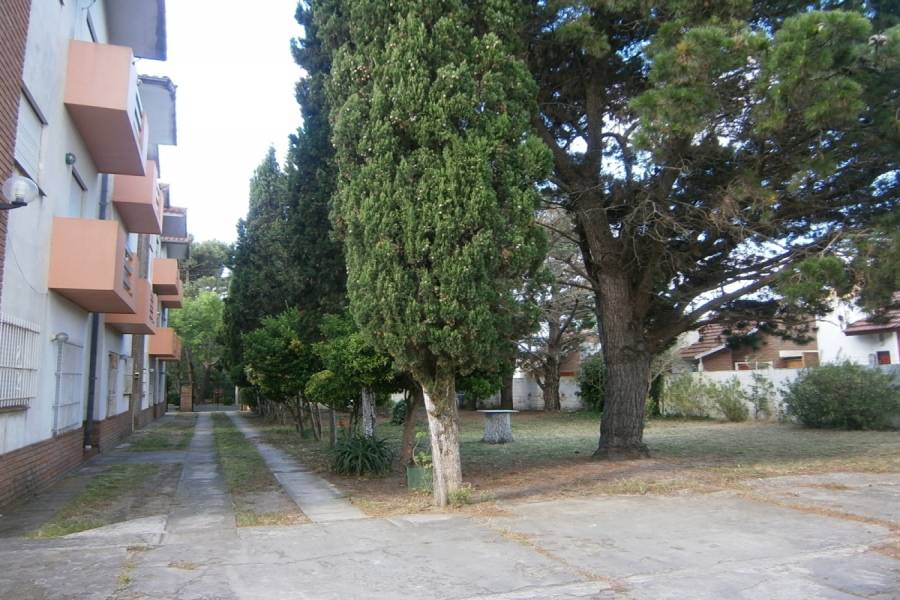 Santa Teresita, Buenos Aires, Argentina, 1 Dormitorio Bedrooms, ,1 BañoBathrooms,Apartamentos,Temporario,48 ,1,41145