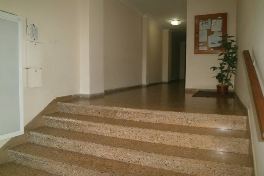 Santa Teresita, Buenos Aires, Argentina, 1 Dormitorio Bedrooms, ,1 BañoBathrooms,Apartamentos,Temporario,36,3,41164