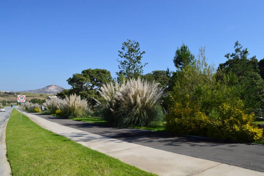 Zapopan, Jalisco, Mexico, 3 Bedrooms Bedrooms, ,2 BathroomsBathrooms,Casas,Venta,Valle Imperial,41181