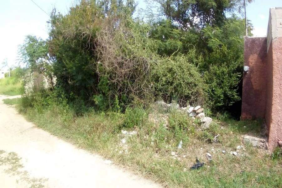 Mérida,Yucatán,Mexico,Lotes-Terrenos,4563