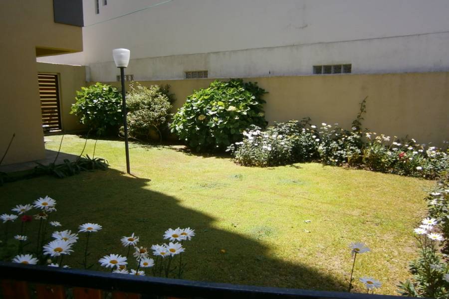 Santa Teresita, Buenos Aires, Argentina, 1 Dormitorio Bedrooms, ,1 BañoBathrooms,Apartamentos,Temporario,36,1,41236