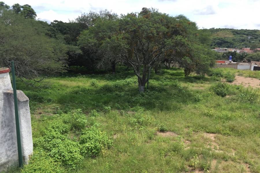Zapopan, Jalisco, Mexico, ,Casas,Venta,Benito Juárez,41251