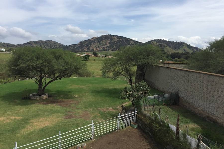 Zapopan, Jalisco, Mexico, ,Casas,Venta,Benito Juárez,41251