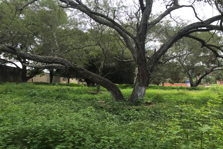 Zapopan, Jalisco, Mexico, ,Casas,Venta,Benito Juárez,41251