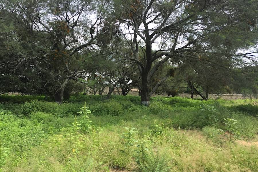 Zapopan, Jalisco, Mexico, ,Casas,Venta,Benito Juárez,41251