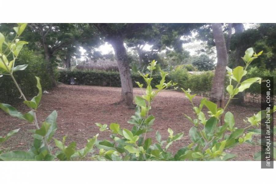 Sopetrán, Antioquia, Colombia, ,Lotes-Terrenos,Venta,41258