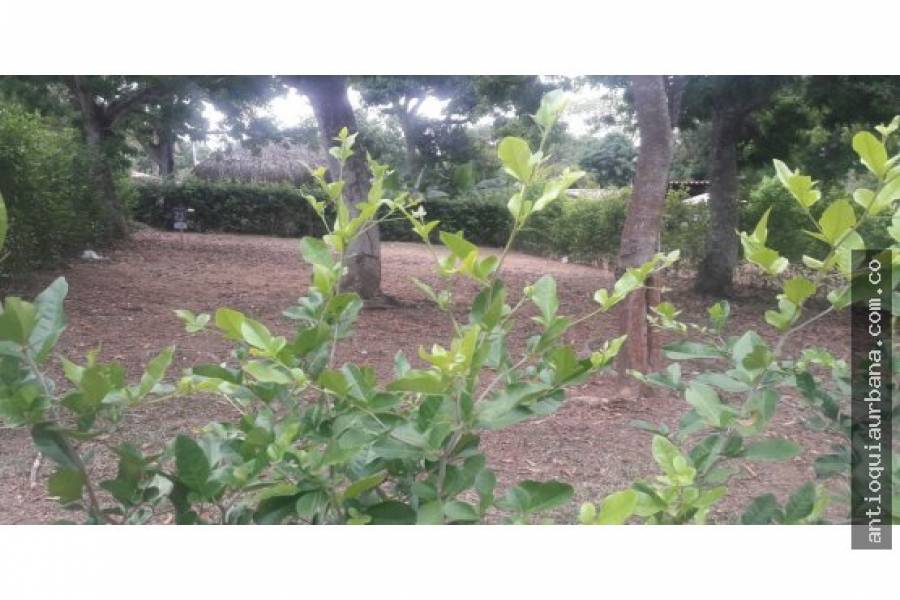 Sopetrán, Antioquia, Colombia, ,Lotes-Terrenos,Venta,41258