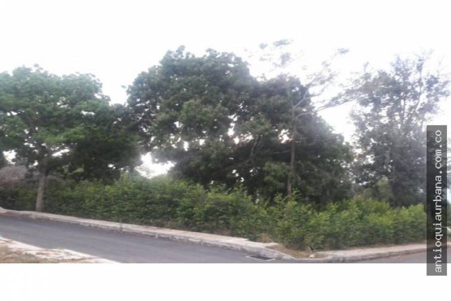 Sopetrán, Antioquia, Colombia, ,Lotes-Terrenos,Venta,41258