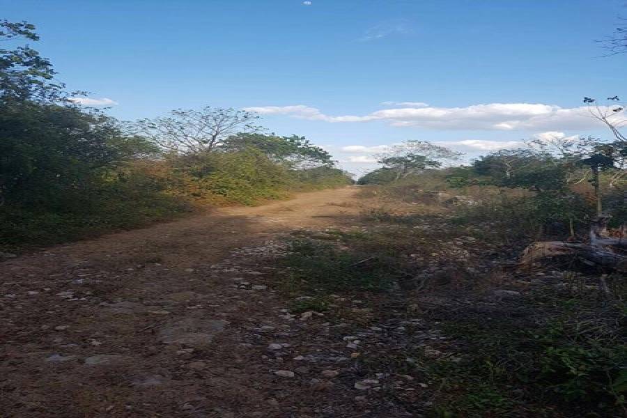 Mérida,Yucatán,Mexico,Lotes-Terrenos,4575