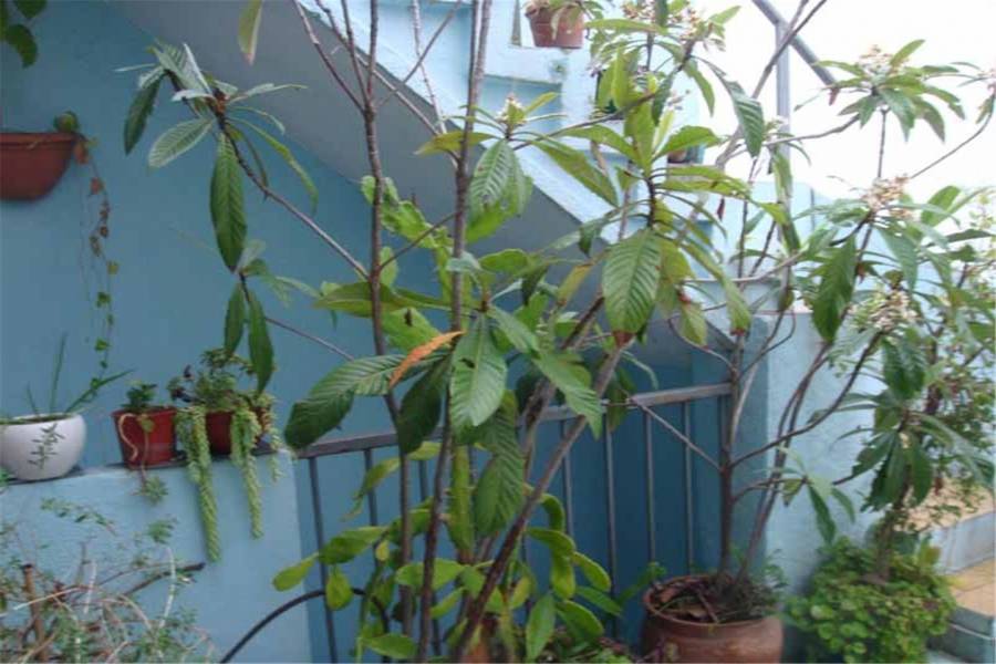 Villa Urquiza, Buenos Aires, Argentina, 6 Bedrooms Bedrooms, ,3 BathroomsBathrooms,Casas,Venta,tronador,41308