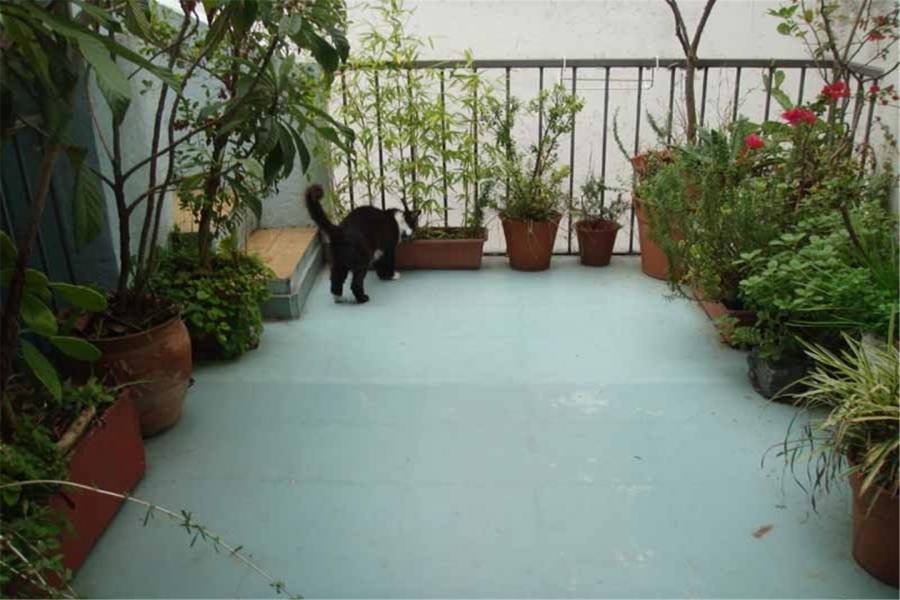 Villa Urquiza, Buenos Aires, Argentina, 6 Bedrooms Bedrooms, ,3 BathroomsBathrooms,Casas,Venta,tronador,41308