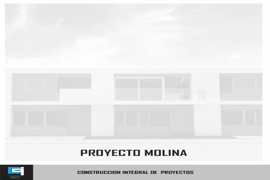 Mataderos, Buenos Aires, Argentina, 2 Bedrooms Bedrooms, ,1 BañoBathrooms,Apartamentos,Venta,MOLINA,1,41316