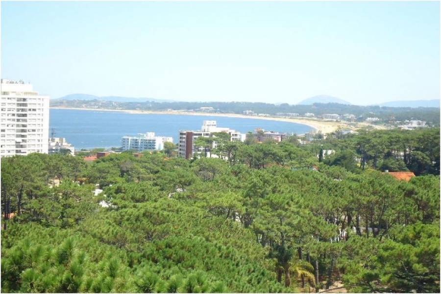 Maldonado, Uruguay, 1 Dormitorio Bedrooms, ,1 BañoBathrooms,Apartamentos,Venta,41359