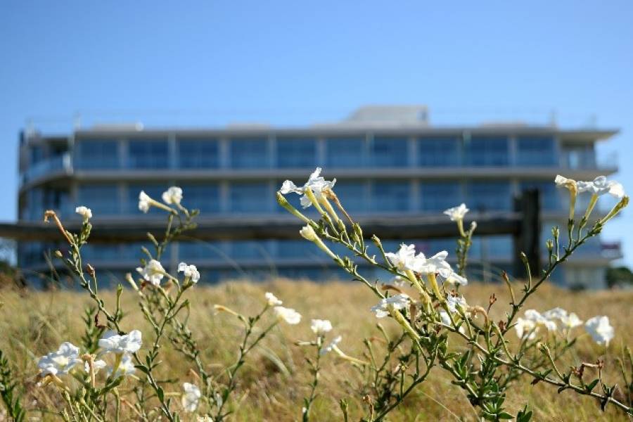 Punta del Este, Maldonado, Uruguay, 2 Bedrooms Bedrooms, ,1 BañoBathrooms,Apartamentos,Venta,41413