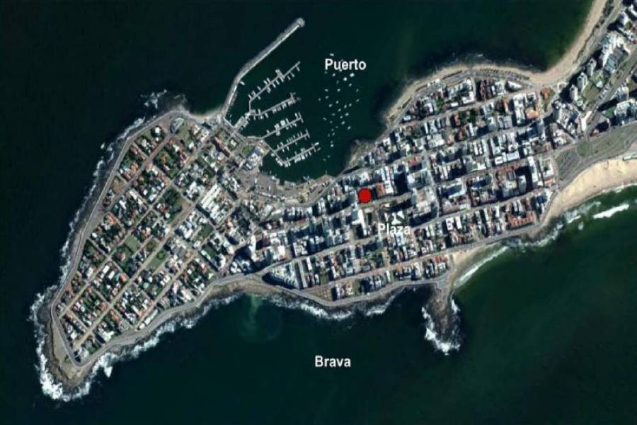 punta del este, Maldonado, Uruguay, ,Oficinas,Venta,41457