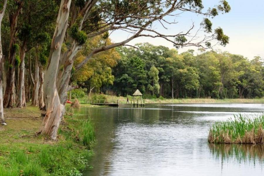 Punta del Este, Maldonado, Uruguay, 4 Bedrooms Bedrooms, ,4 BathroomsBathrooms,Casas,Temporario,41464