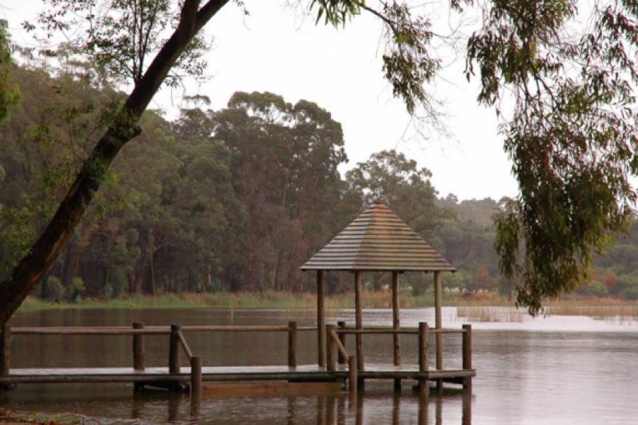 Punta del Este, Maldonado, Uruguay, 4 Bedrooms Bedrooms, ,4 BathroomsBathrooms,Casas,Temporario,41464