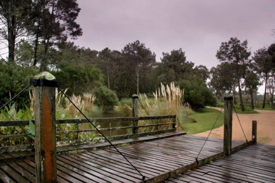 Punta del Este, Maldonado, Uruguay, 6 Bedrooms Bedrooms, ,6 BathroomsBathrooms,Casas,Temporario,41465