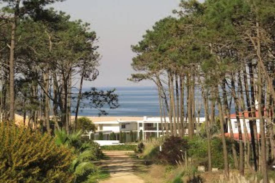 Punta del Este, Maldonado, Uruguay, 6 Bedrooms Bedrooms, ,6 BathroomsBathrooms,Casas,Temporario,41465