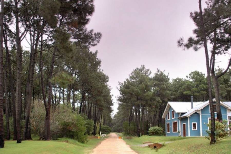 Punta del Este, Maldonado, Uruguay, 6 Bedrooms Bedrooms, ,6 BathroomsBathrooms,Casas,Temporario,41465