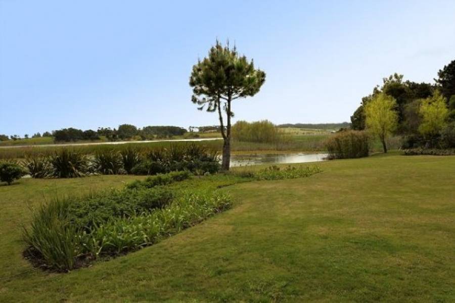 Punta del Este, Maldonado, Uruguay, 6 Bedrooms Bedrooms, ,6 BathroomsBathrooms,Casas,Temporario,41465