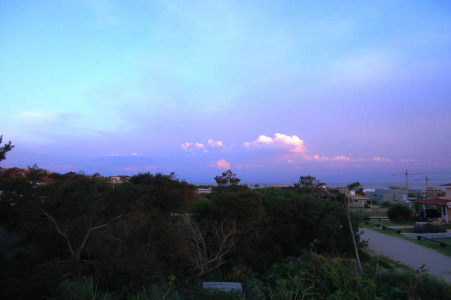 punta del este, Maldonado, Uruguay, 3 Bedrooms Bedrooms, ,3 BathroomsBathrooms,Casas,Temporario,41468