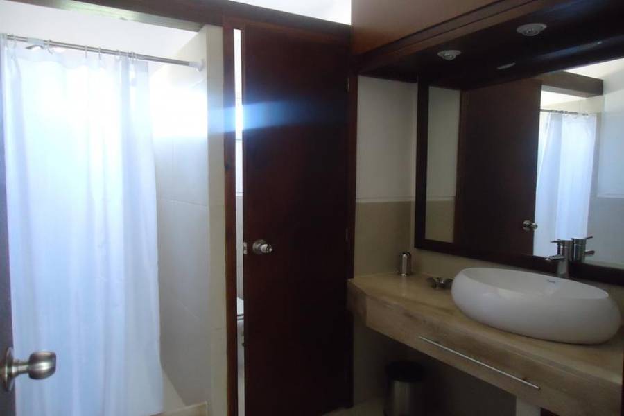 Punta del Este, Maldonado, Uruguay, 4 Bedrooms Bedrooms, ,Casas,Temporario,41486