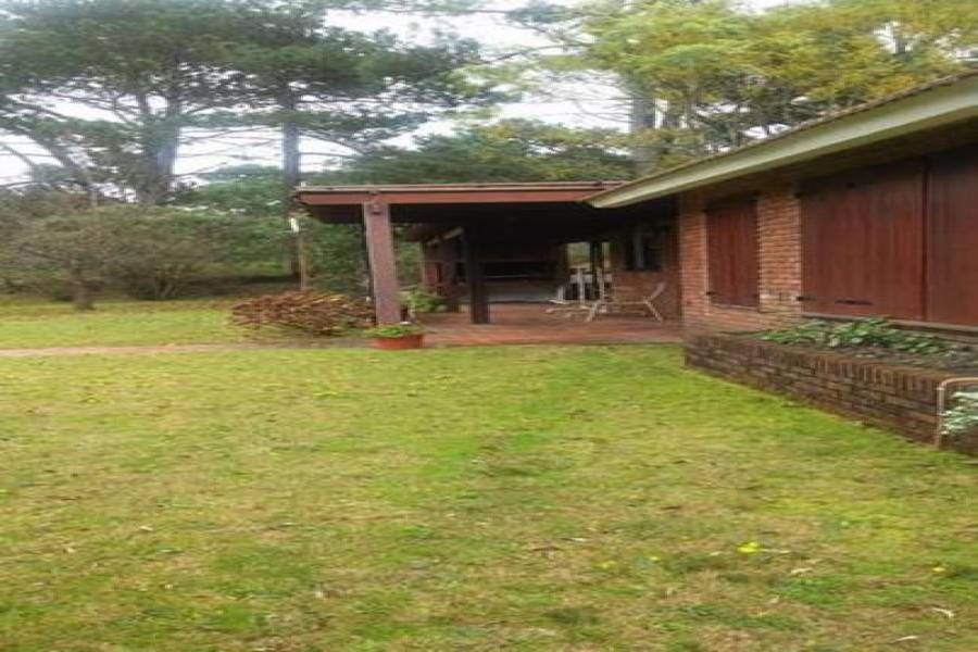 Punta del este, Maldonado, Uruguay, 3 Bedrooms Bedrooms, ,3 BathroomsBathrooms,Casas,Temporario,41488