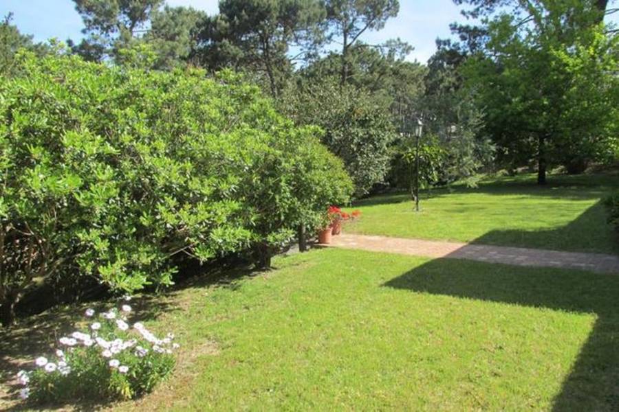Punta del este, Maldonado, Uruguay, 3 Bedrooms Bedrooms, ,3 BathroomsBathrooms,Casas,Temporario,41488