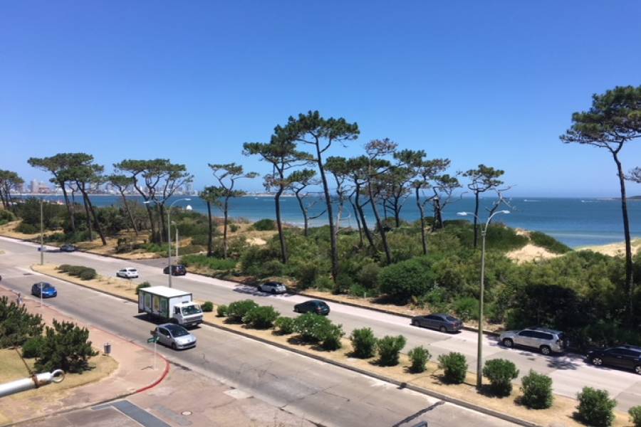 Punta del Este, Maldonado, Uruguay, 2 Bedrooms Bedrooms, ,1 BañoBathrooms,Apartamentos,Venta,41511