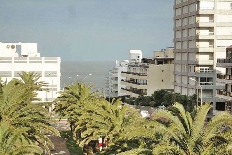 Punta del Este, Maldonado, Uruguay, 3 Bedrooms Bedrooms, ,2 BathroomsBathrooms,Apartamentos,Venta,41562