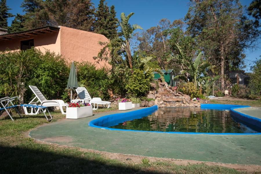 Punta del Este, Maldonado, Uruguay, 3 Bedrooms Bedrooms, ,2 BathroomsBathrooms,Casas,Temporario,41563