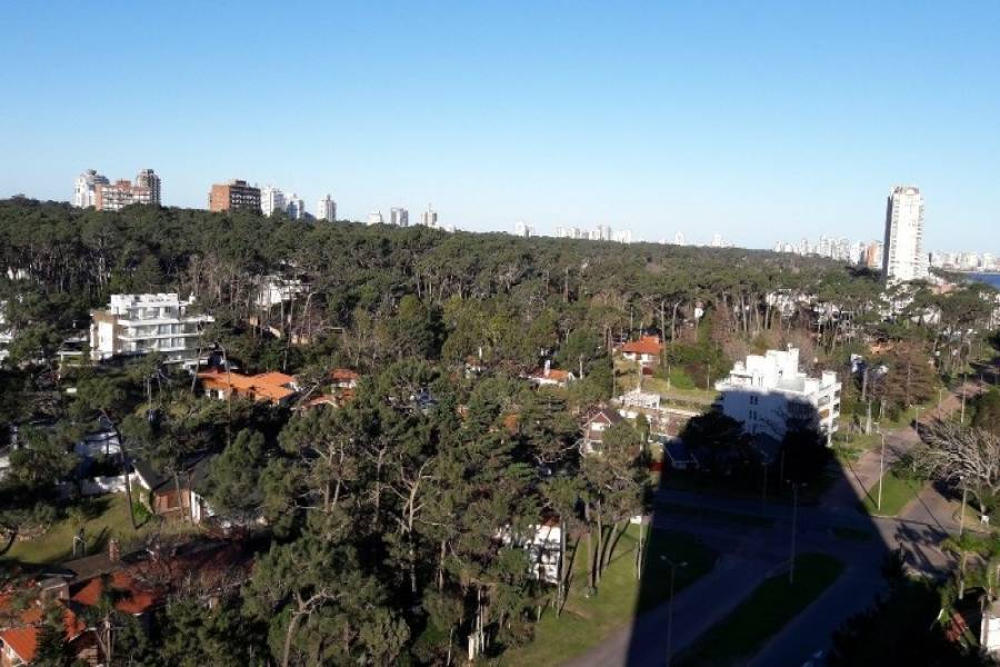 Punta del Este, Maldonado, Uruguay, 2 Bedrooms Bedrooms, ,2 BathroomsBathrooms,Apartamentos,Venta,41565