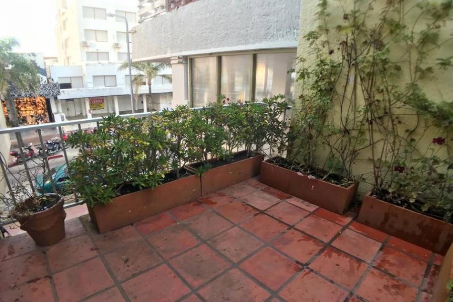 Punta del Este, Maldonado, Uruguay, 3 Bedrooms Bedrooms, ,2 BathroomsBathrooms,Apartamentos,Venta,41578