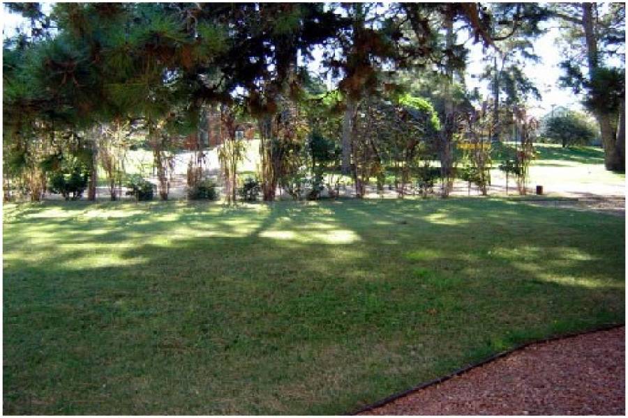 Punta del Este, Maldonado, Uruguay, 5 Bedrooms Bedrooms, ,4 BathroomsBathrooms,Casas,Temporario,41590
