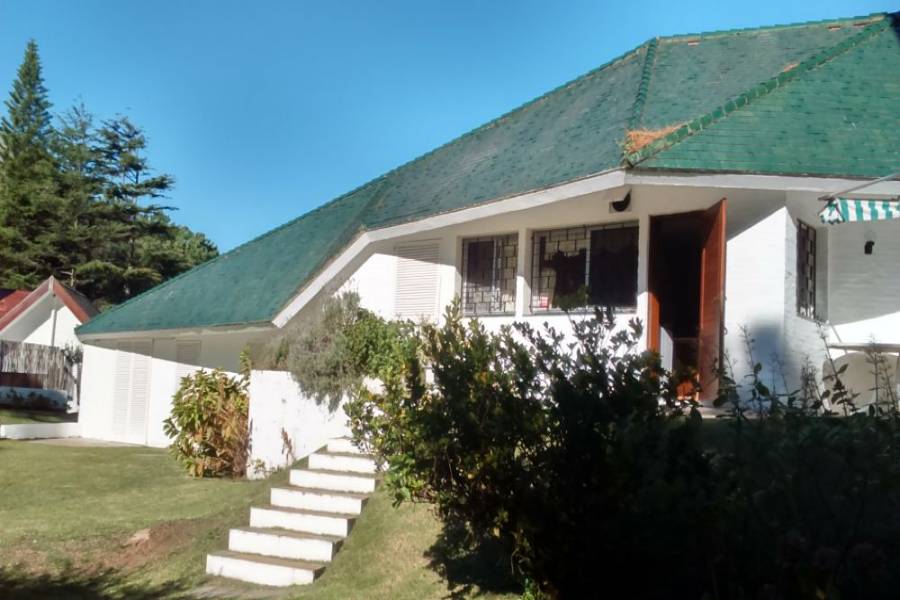 Punta del Este, Maldonado, Uruguay, 4 Bedrooms Bedrooms, ,4 BathroomsBathrooms,Casas,Venta,41604