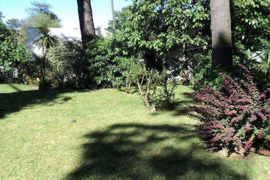 Punta del Este, Maldonado, Uruguay, 3 Bedrooms Bedrooms, ,2 BathroomsBathrooms,Casas,Temporario,41616