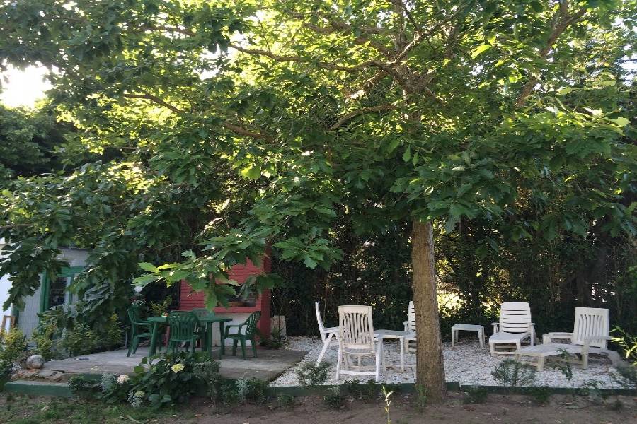 Punta del Este, Maldonado, Uruguay, 2 Bedrooms Bedrooms, ,1 BañoBathrooms,Casas,Temporario,41620